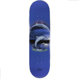 Sour - 8.38” Huhta Dolphin Deck